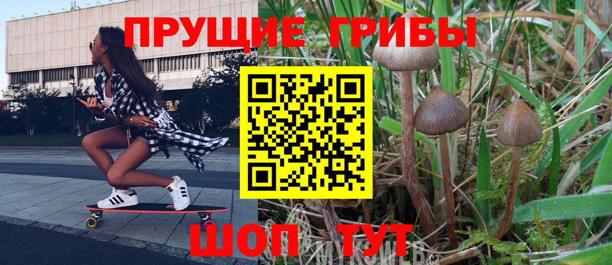 Псилоцибиновые грибы Psilocybine cubensis  Вход с VPN  купить наркоту  Гуково 